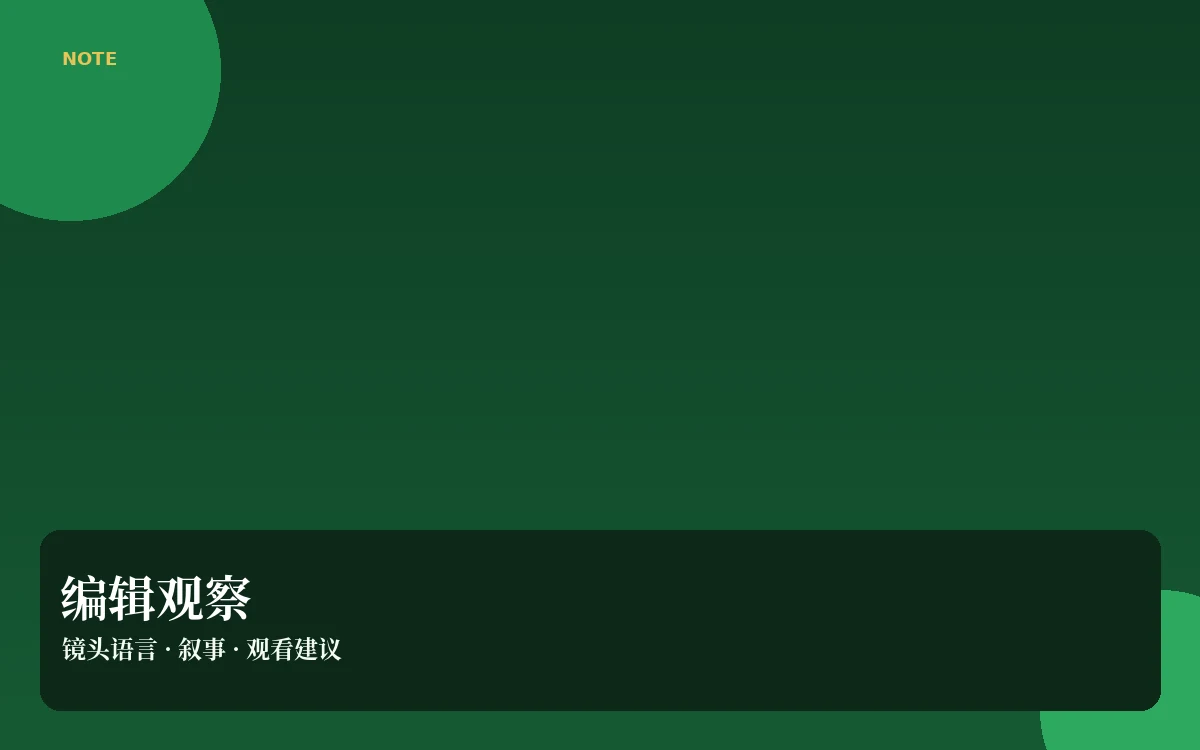 编辑视角